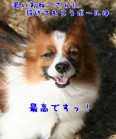 d0013149_11252440.jpg