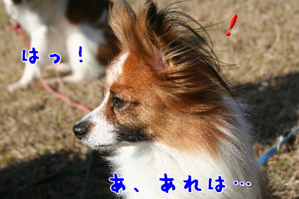 d0013149_11295586.jpg