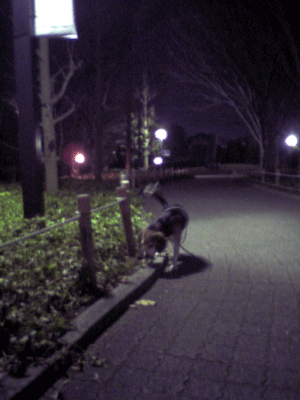 b0005652_21425491.gif