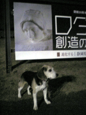 b0005652_21432091.gif