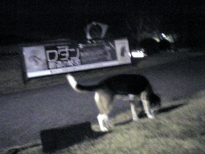 b0005652_21433996.gif