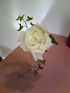 e0080052_15575724.jpg