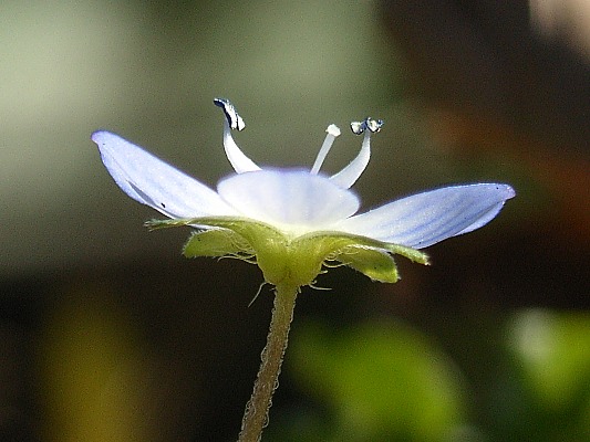b0084270_23261165.jpg