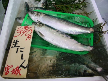 f0125585_9544242.jpg