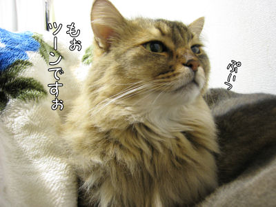 a0045990_0374363.jpg