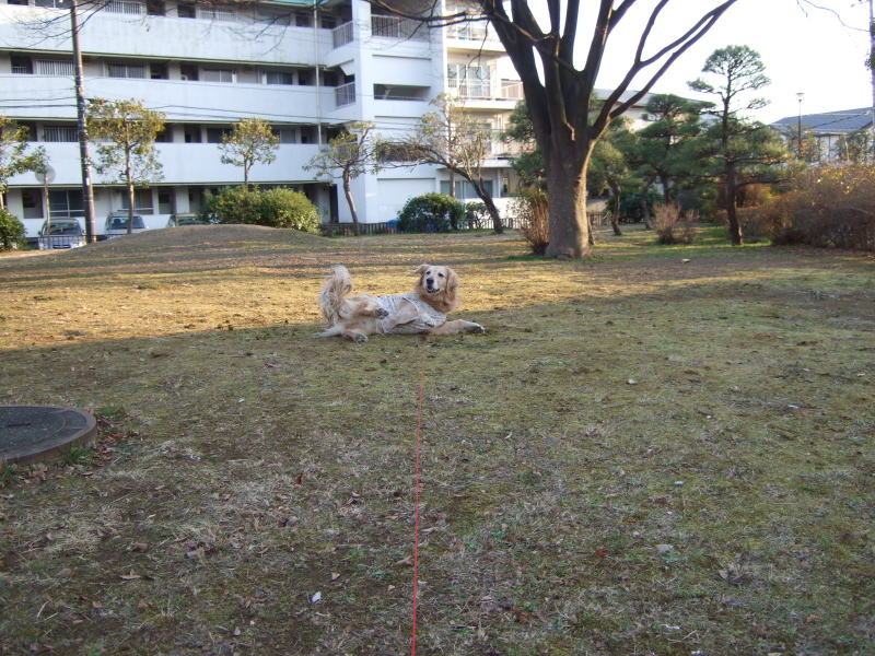 c0104492_232413.jpg