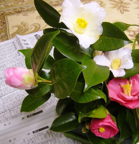 f0029393_21175350.jpg
