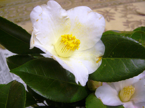 f0029393_21274022.jpg