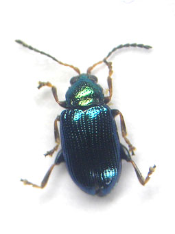 e0083097_014557.jpg