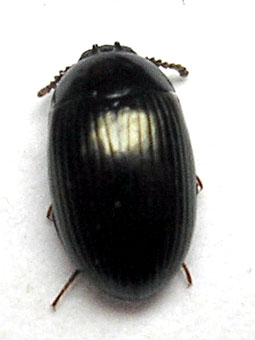 e0083097_0252252.jpg