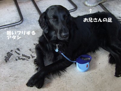 c0050400_22282664.jpg
