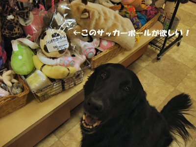 c0050400_23575991.jpg