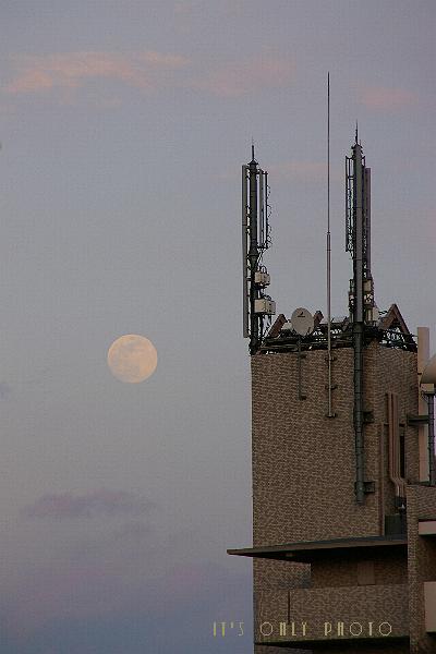 e0008800_153818.jpg