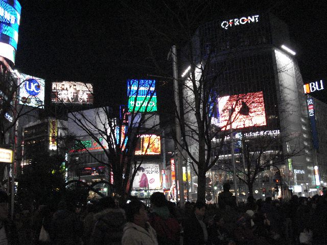 f0084806_8342025.jpg