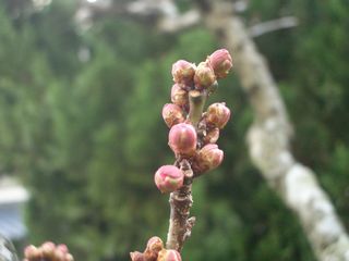 b0061107_23221937.jpg