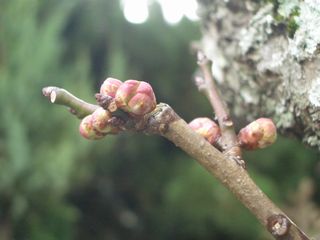 b0061107_2322868.jpg