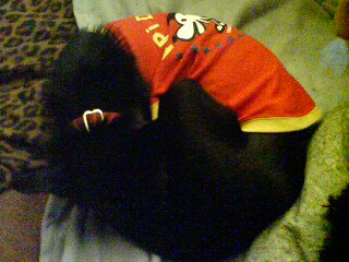 f0090009_1526847.jpg