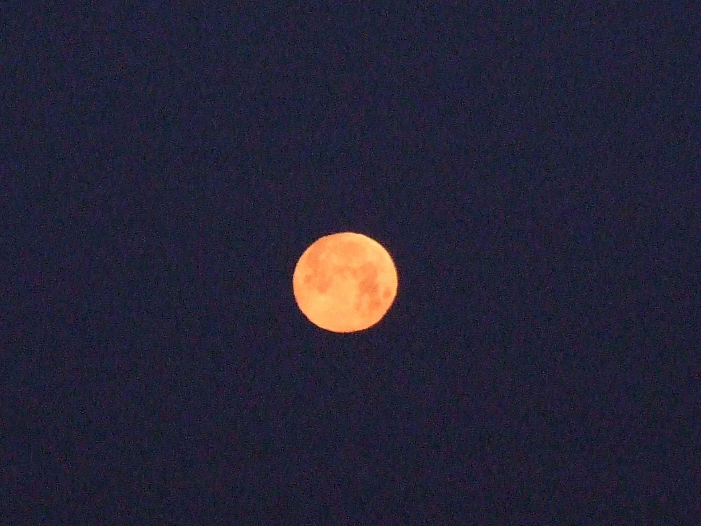 b0061010_19543333.jpg