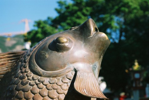 e0002214_31257.jpg