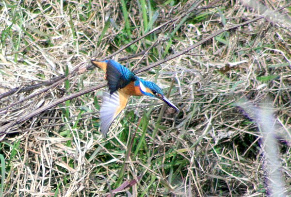 f0031423_2101362.jpg