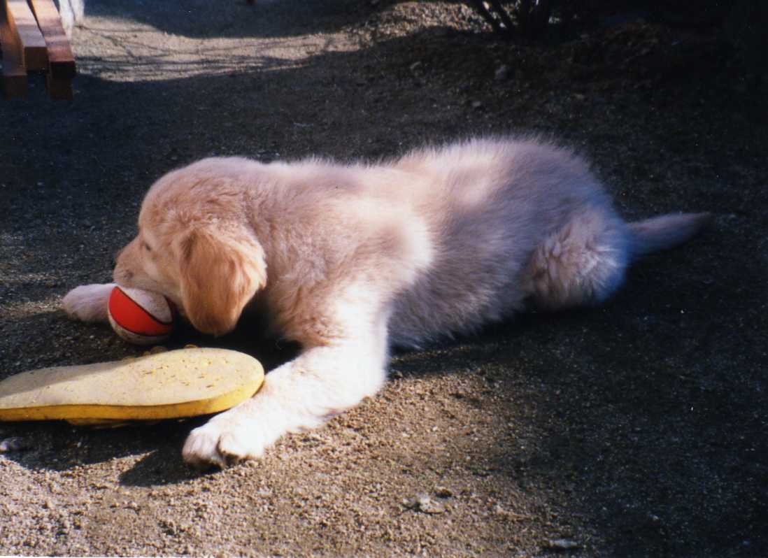 f0127523_13105299.jpg