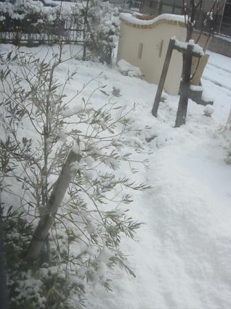 e0050324_2113512.jpg