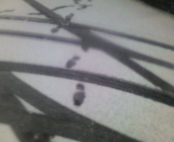 c0047744_9322633.jpg
