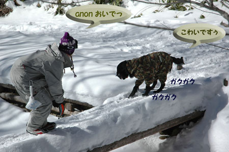 f0018144_19455092.jpg