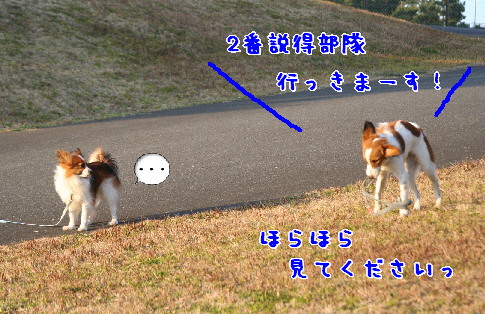 d0013149_1201313.jpg