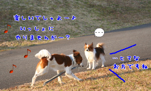 d0013149_1202278.jpg