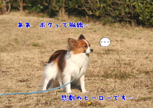 d0013149_120326.jpg