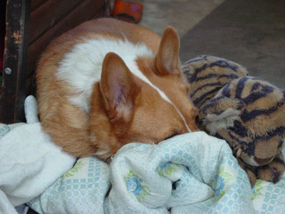 f0003174_2281657.jpg