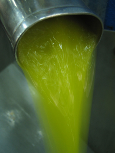 e0023086_1862610.jpg