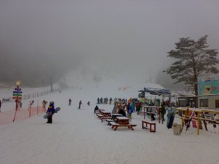 e0070286_1004335.jpg