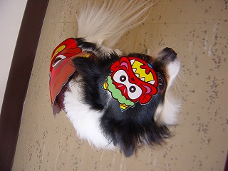 f0075087_1774895.jpg