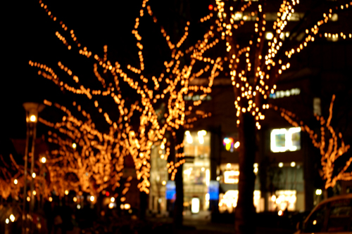 b0080789_19214595.jpg