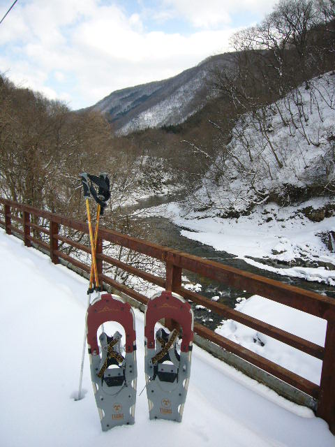 b0050305_17352949.jpg