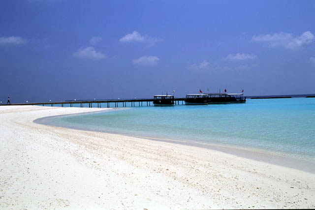 e0076814_1631071.jpg