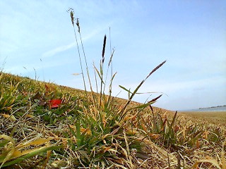 a0049715_028831.jpg