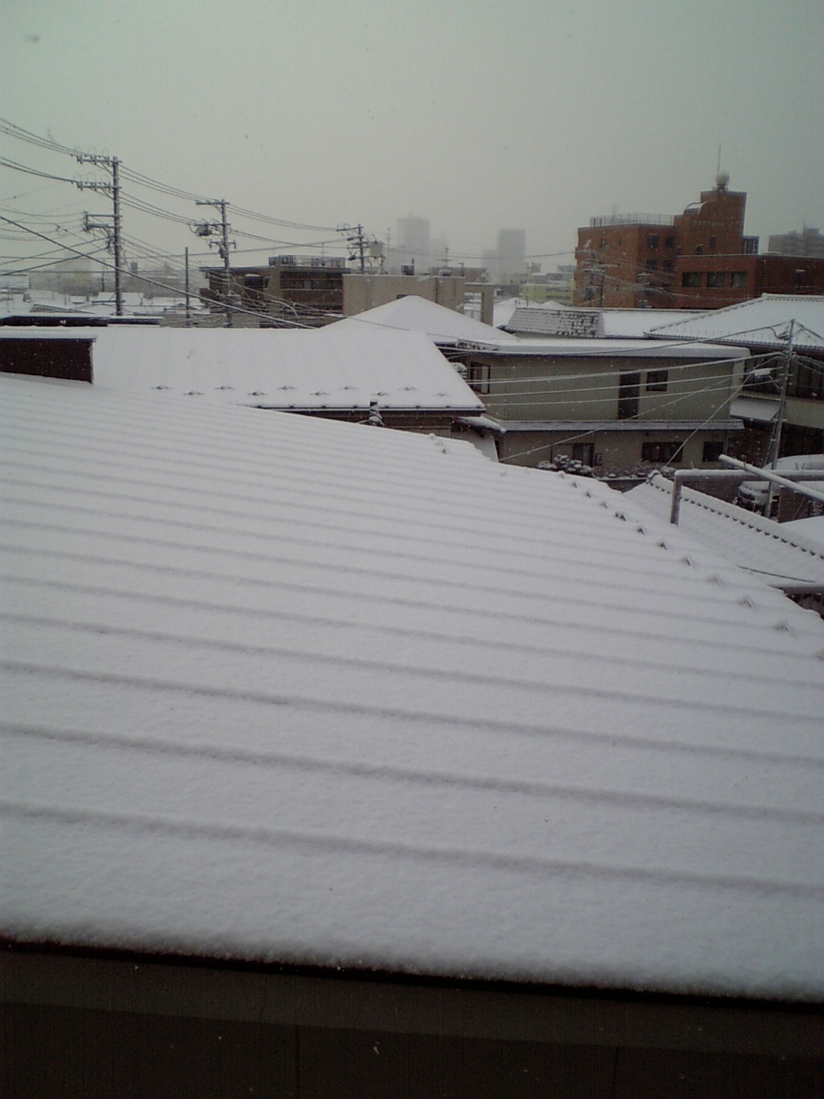 e0114823_1045681.jpg