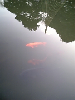 e0016828_22213996.jpg