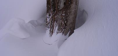 f0118332_23184899.jpg