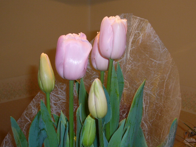 e0100046_20534397.jpg