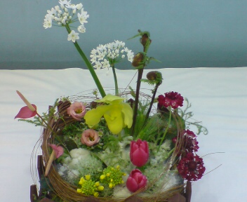 e0050449_21594235.jpg