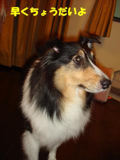 f0046854_20115422.jpg
