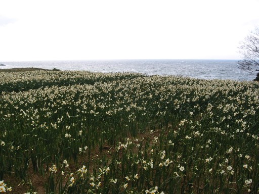 f0015261_16141327.jpg