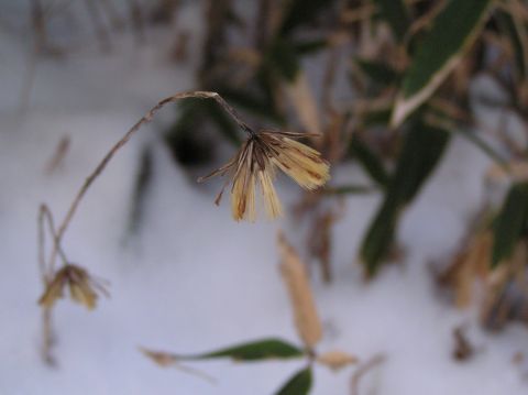 c0042869_2039465.jpg