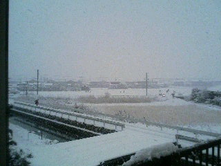 f0103273_23161129.jpg