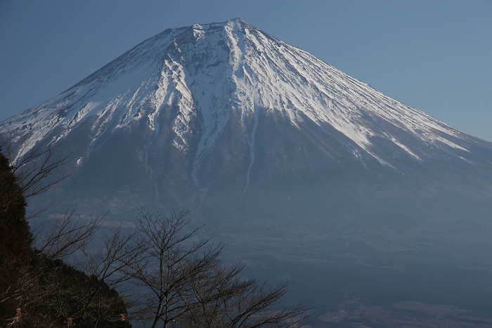 f0115475_2331463.jpg