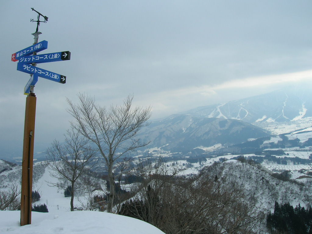e0058477_09119.jpg